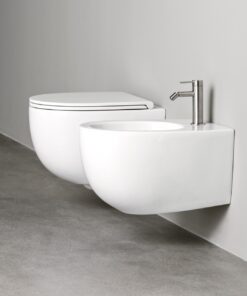 Bidet toilet